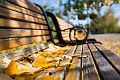 Autumn006