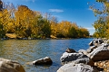 Autumn008