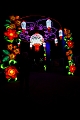 Illuminasia006