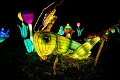 Illuminasia013
