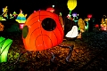 Illuminasia015
