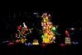 Illuminasia017