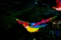 Illuminasia019