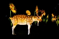 Illuminasia026