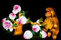 Illuminasia027