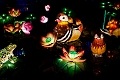 Illuminasia028