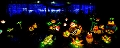 Illuminasia029