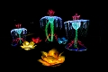Illuminasia030