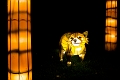 Illuminasia033