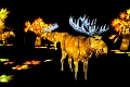 Illuminasia036