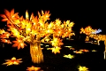 Illuminasia037