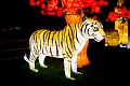 Illuminasia040