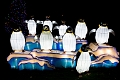 Illuminasia041