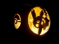 Pumpkin005