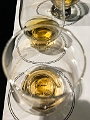 GordonMacPhail003