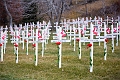 Remembrance019