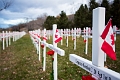 Remembrance024
