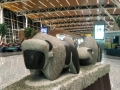 Calgary001