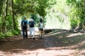 IguazuFalls068