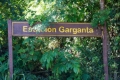 IguazuFalls071