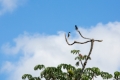 IguazuFalls131