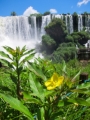 IguazuFalls235
