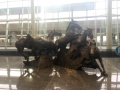 Calgary004