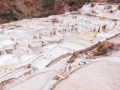 Maras020
