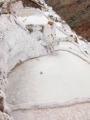 Maras025