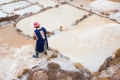 Maras032