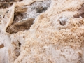 Maras037