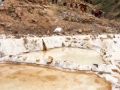 Maras041