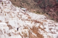 Maras046