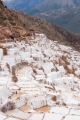 Maras048