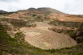 Moray001