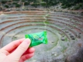 Moray010