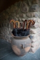 Urubamba014