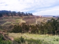 Chinchero032