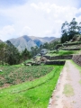 Chinchero064
