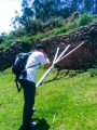Chinchero074