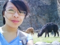 Ollantaytambo012