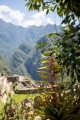 MachuPicchu088