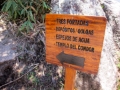 MachuPicchu117