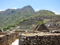 MachuPicchu126