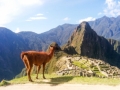 MachuPicchu206