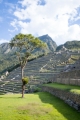MachuPicchu235