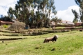 Cusco130