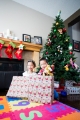 ChristmasChow022