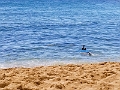 Kauai143