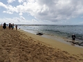 Kauai145